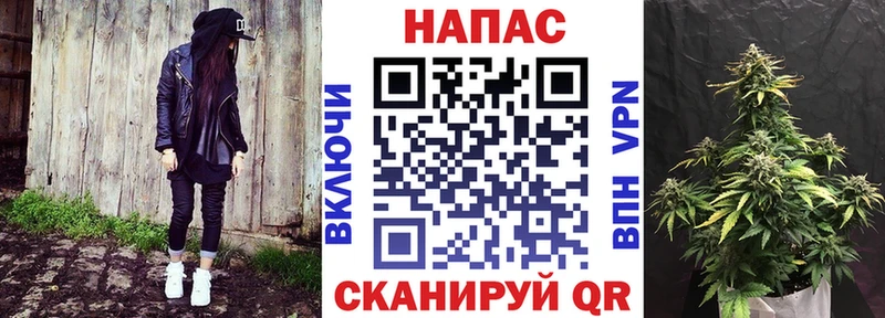 Конопля индика Махачкала